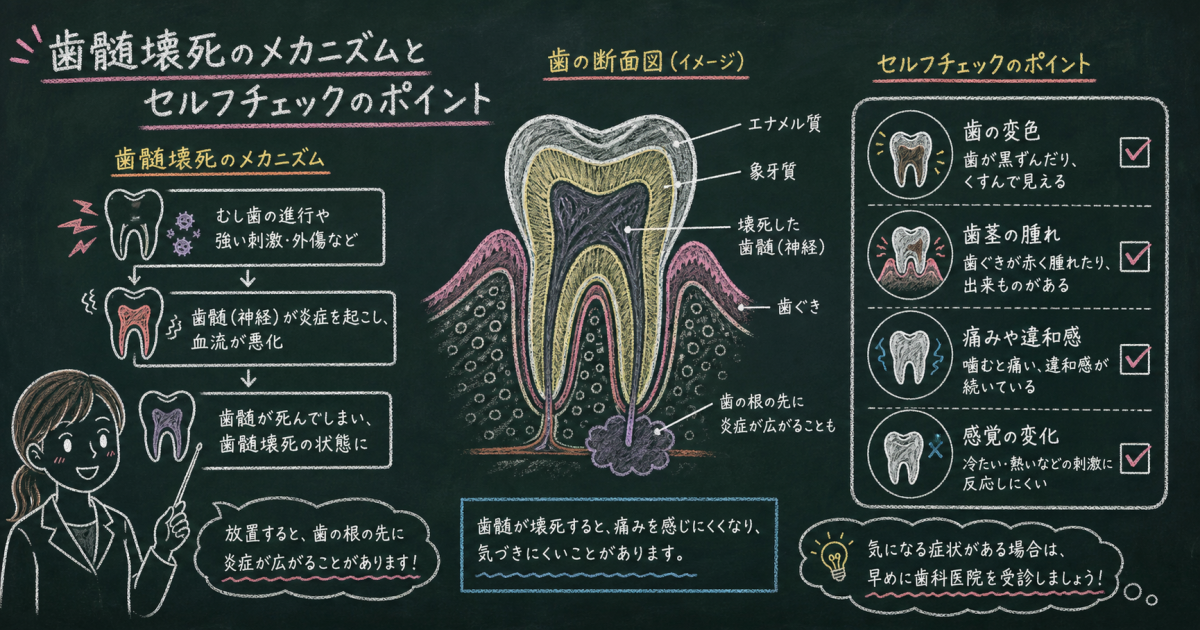 ■むし歯の痛みが急に消えたとき、歯の内部で起きていること